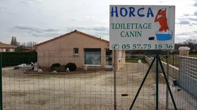 Salon De Toilettage