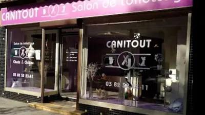 Canitout