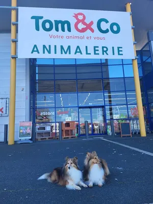 Terranimo Niort