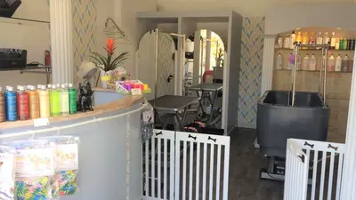 Le Salon de Barbara