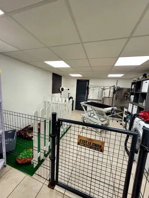 Au Bonheur du Chien Chez Laëtitia Falck
