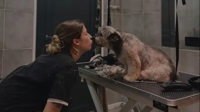 Puppy Doux Toilettage