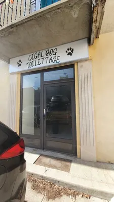 Cigal'Dog Toilettage Chiens