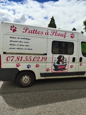 Pattes à plouf 78