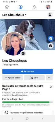Les Chouchous
