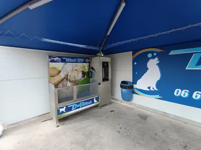 Dog wash