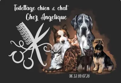 Toilettage Chez Angelique