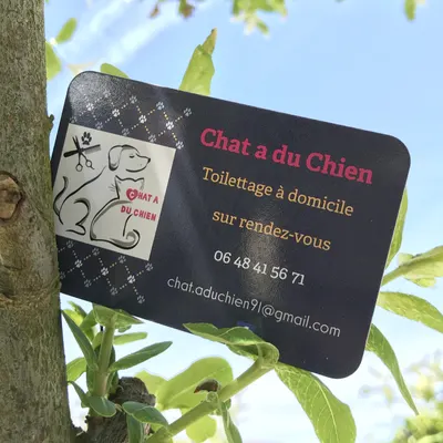 O'bien-être animal