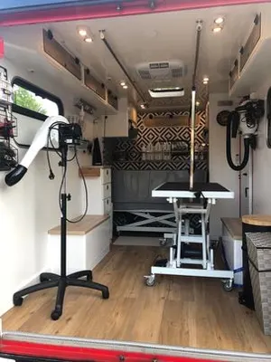 le car-os toilettage à domicile