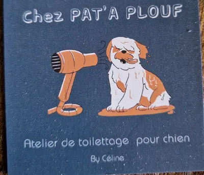 Salon Toilettage Pat'à plouf Le Mayet de Montagne