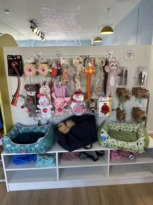 Pom d'Azur Paris - Toiletteur Chien - Traitement Alopécie du Spitz - Accessoires pour Chiens