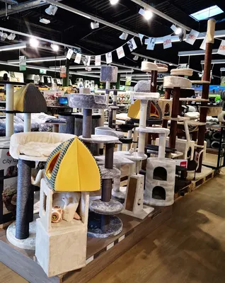 Tom&Co Petite-Foret