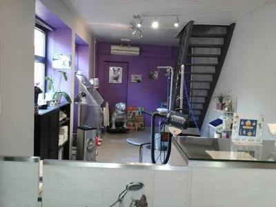 Toilettage Canin Accessoires