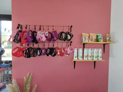 Jean Marc PEREZ / Toiletteur à Domicile