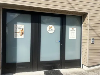 DOG STUDIO