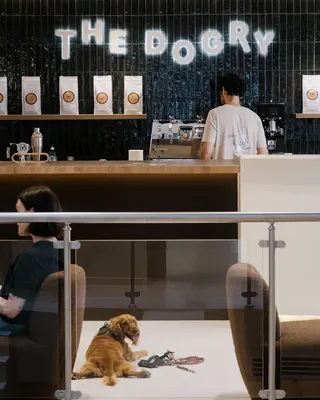 The Dogry