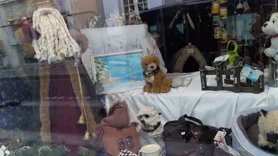 Salon de toilettage Dog paradise lorris