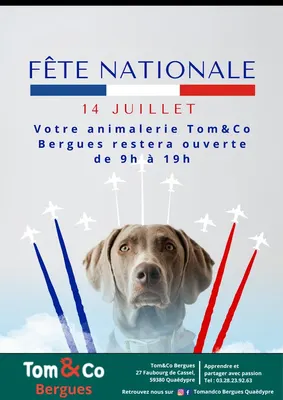Tom&Co Bergues Quaedypre