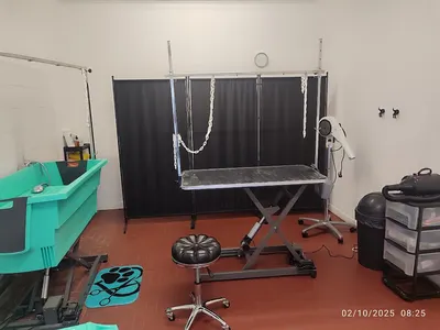 Beauté Canine - Salon de toilettage
