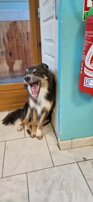 L Eden Canin