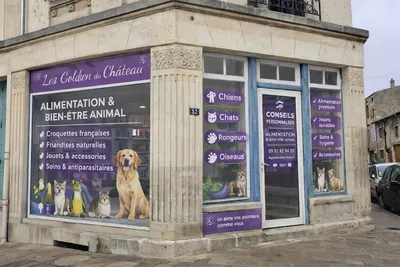Les Goldens du Château et la Chatterie du Château Hatton