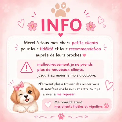 Toutou propre 06. Toilettage à domicile