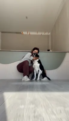 Origine Toilettage et Bien-Être Canin et Felin