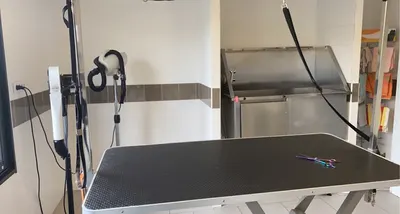 Toilettage La Pigeonnie