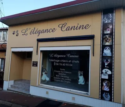 Toilette Canine