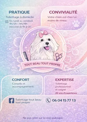 Toilettage Tout beau Tout propre à Domicile