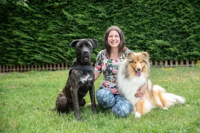 Little Hollywood toilettage canin - Boutique produits naturels pour chien