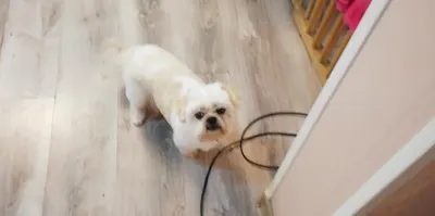 Koné