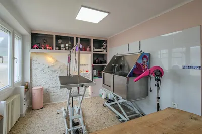 Elegance Toilettage