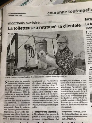 Pomponnette Toilettage