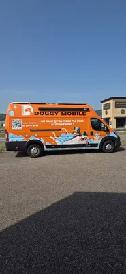 Doggy mobile toilettage itinérant à domicile , metz, nancy