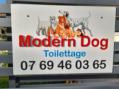 Modern dog