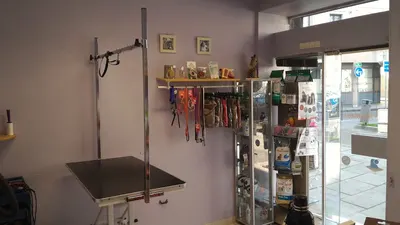 Le Chien Roi