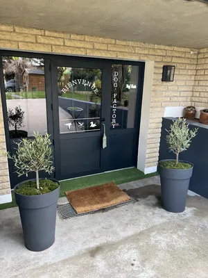 Tilt et Zo Toilettage