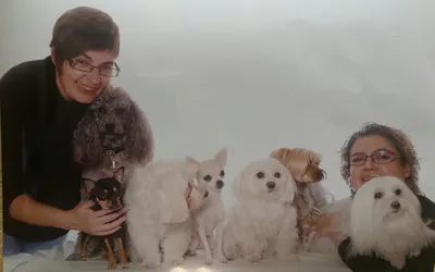 Au Caprice du Chien