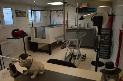 Frimousse Toilettage