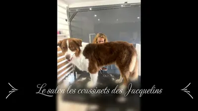 Les Coussinets des Jacquelins