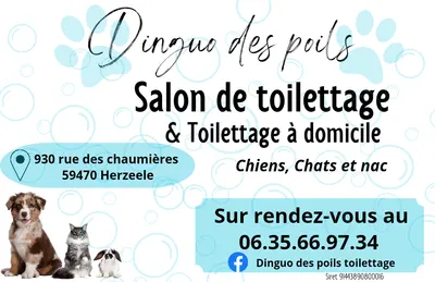 Dinguo des poils