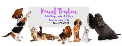 Kouaf'Toutou