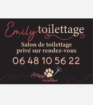 La bulle de poils