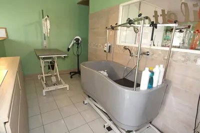 Magalie" Mille pat'hotel"- Toilettage pour chiens et chats