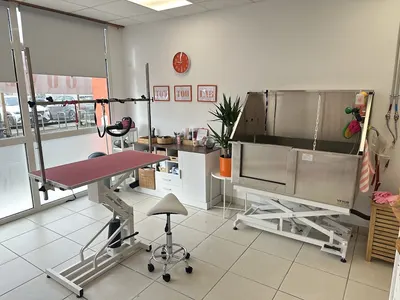 Toutou Lab