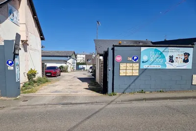 Au chien élégant