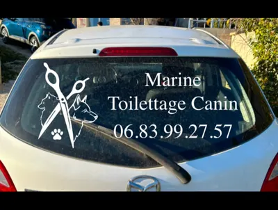 Marine Toilettage Canin