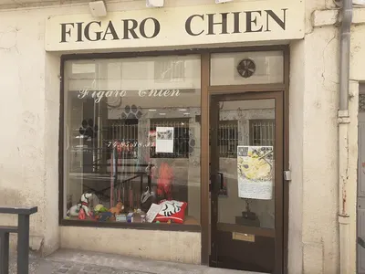 Figaro Chien