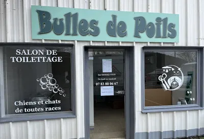 Bulles de poils